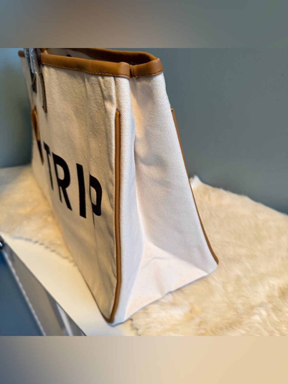 Santa Barbara Design Studio Hold Everything Canvas Road Trip Tote - Picture 7 of 9